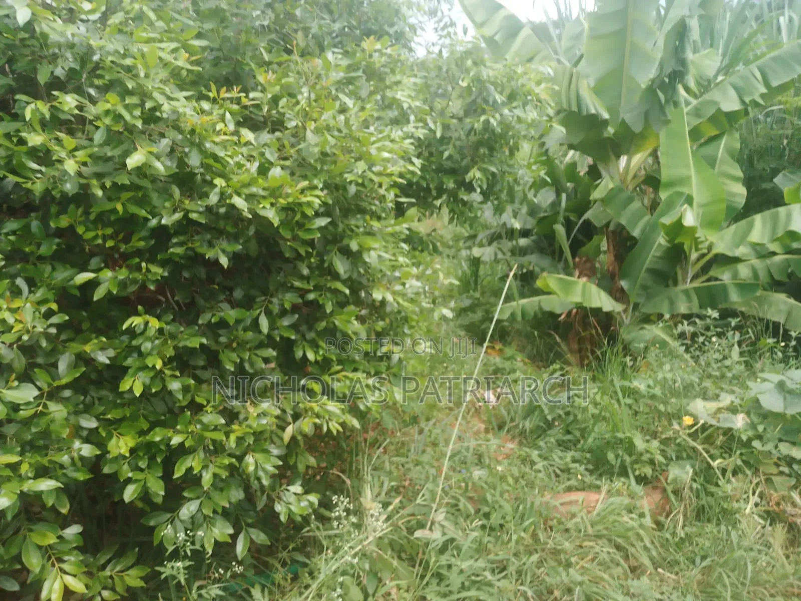 20 Acres Wamunyu Machakos - Touching River Athi Selling at 1m.Per Acre