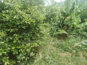 20 Acres Wamunyu Machakos - Touching River Athi Selling at 1m.Per Acre