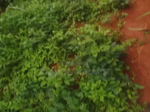 20 Acres Wamunyu Machakos - Touching River Athi Selling at 1m.Per Acre