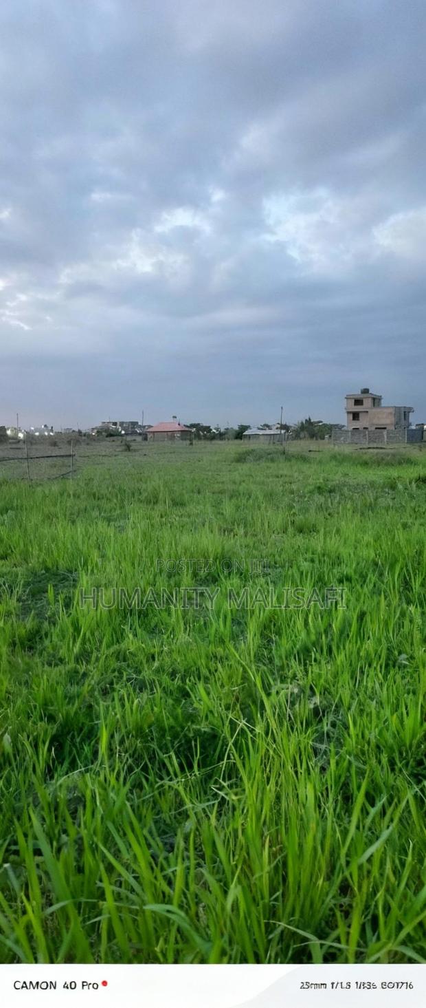 Two 50 by 100 Land Plot at Kamakis, Ready Title.Residential Area - thumbnail 2