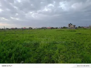 Two 50 by 100 Land Plot at Kamakis, Ready Title.Residential Area