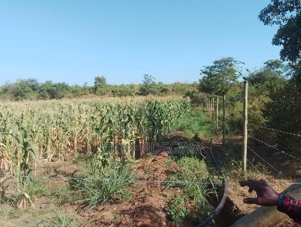 Mwea Prime Land - thumbnail 3