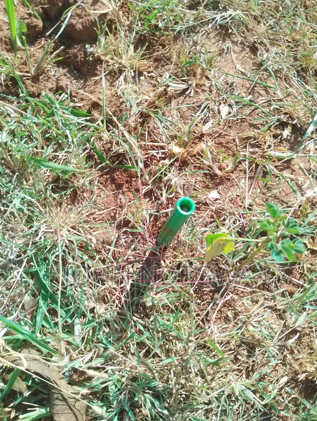 Mwea Prime Land - thumbnail 4