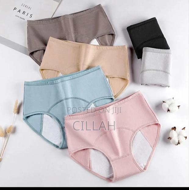 Menstrual Panties - main view