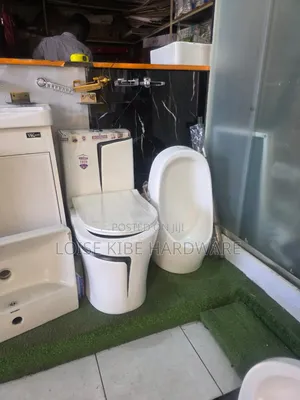 White and Black Toilet Available