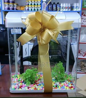 Aquarium For Sale - thumbnail 2