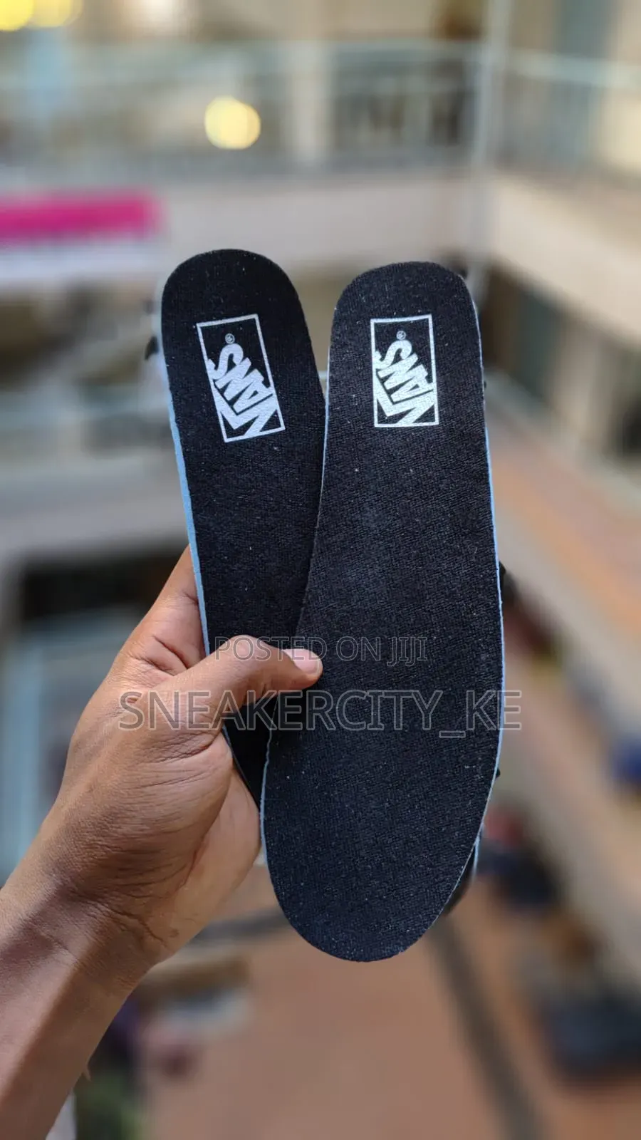 Vans Hylane
