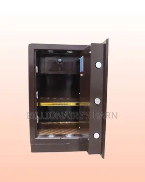 Biometric Safe Box | Tamper Alerts That Discourage Funny Business |