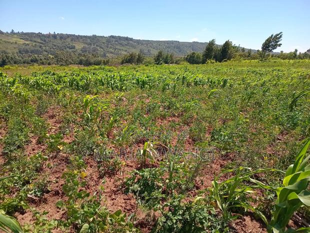 Prime 50 by 100 Plots for Sale in Kamangu Ndigu-Ini