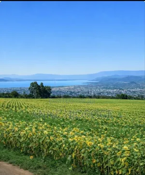 Nakuru Kiamunyi Land