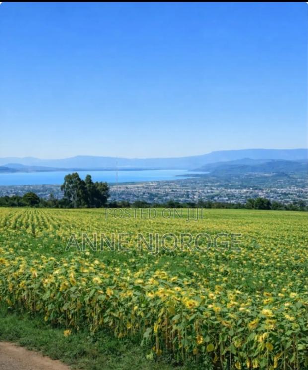 Nakuru Kiamunyi Land - main view