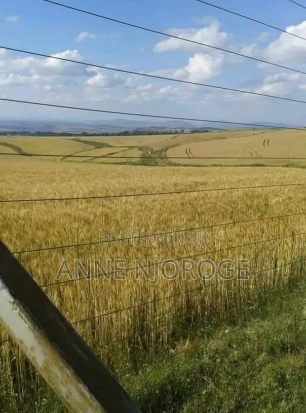 Nakuru Kiamunyi Land - thumbnail 3