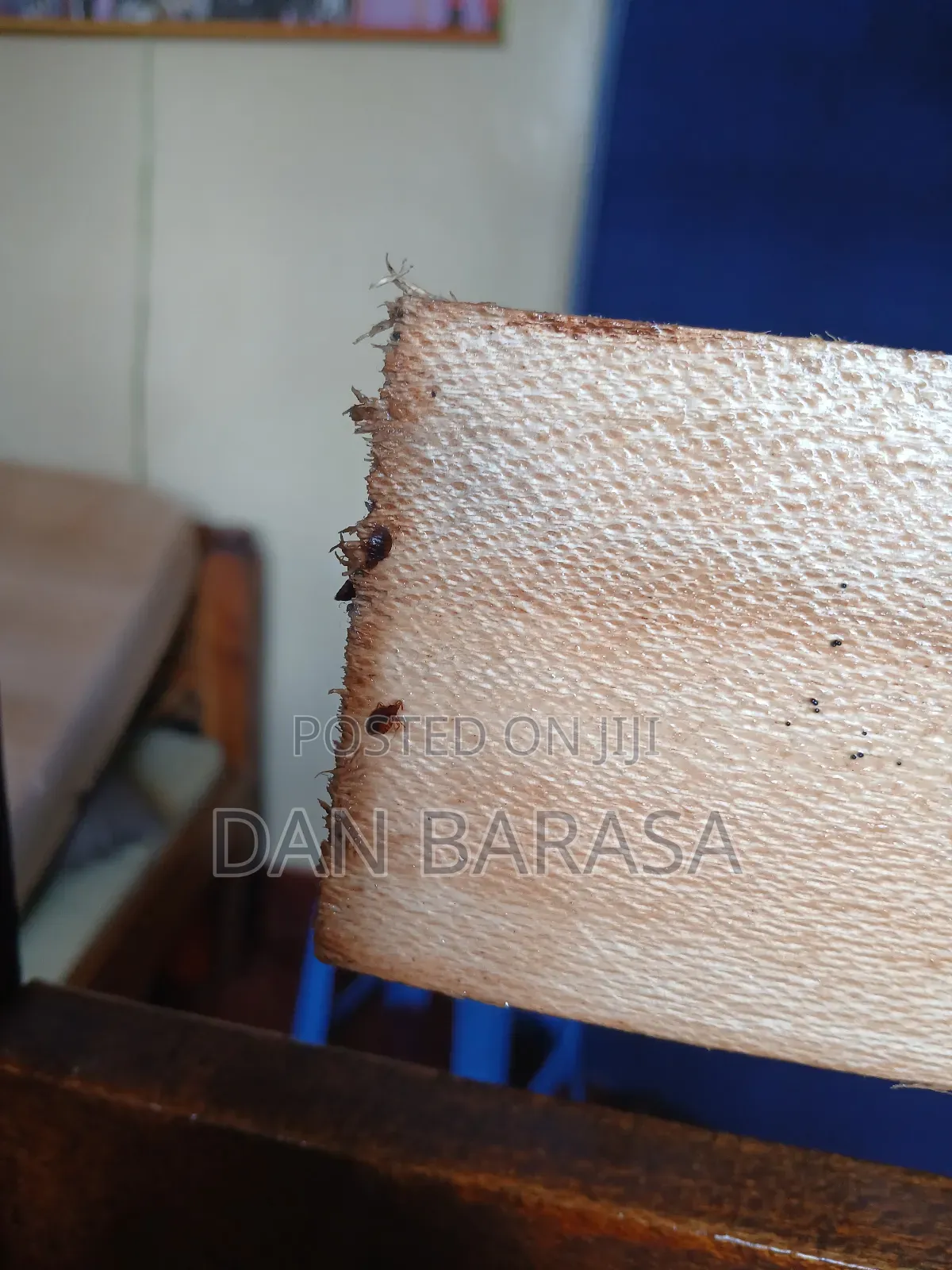 Bedbugs Fumigation Services in Nairobi