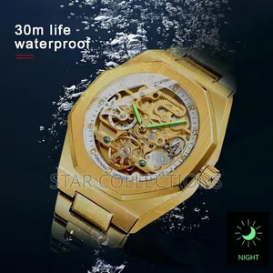 Gold Forsining Automatic Mechanical Watch
