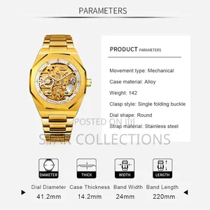 Gold Forsining Automatic Mechanical Watch