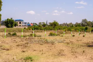 Nanyuki Juakali