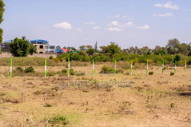 Nanyuki Juakali - thumbnail 3