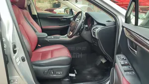 Lexus NX 300h AWD 2019 Silver