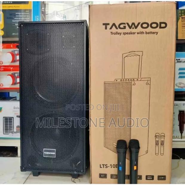 Tagwood LTS-10b Portable Double Speaker Bluetooth and 2 Mics - main view