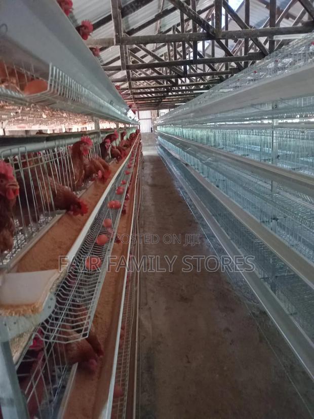 Chicken Cages H Type - main view
