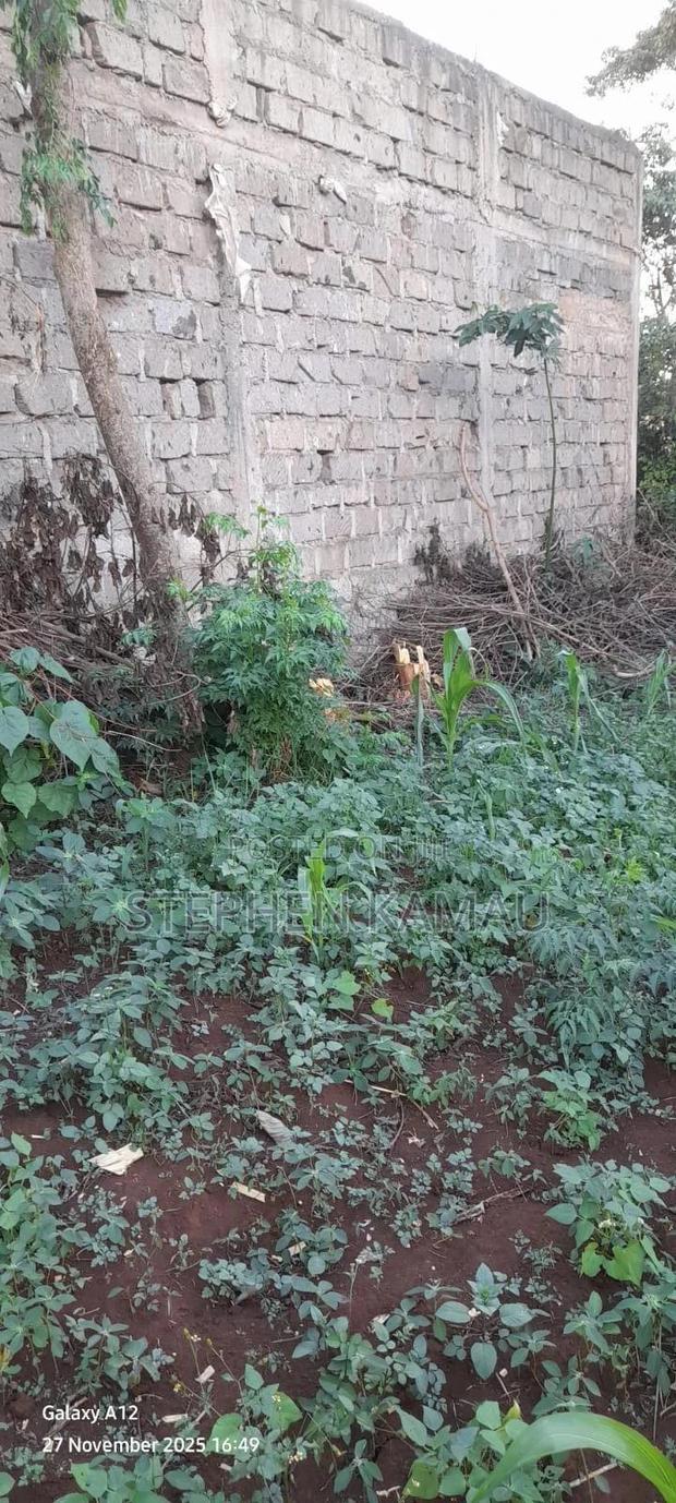 Land Plot Owner Sale. Ruiru-murera Mugutha 100by100 Title Ready. - thumbnail 2