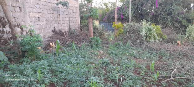 Land Plot Owner Sale. Ruiru-murera Mugutha 100by100 Title Ready. - thumbnail 3