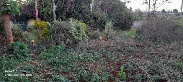 Land Plot Owner Sale. Ruiru-murera Mugutha 100by100 Title Ready. - thumbnail 4