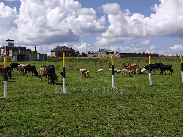 Kangundo Road Prime Plots in Kantafu - thumbnail 7