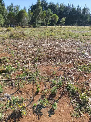 Eldoret Annex Bethel 1⁄4 Acre Plots