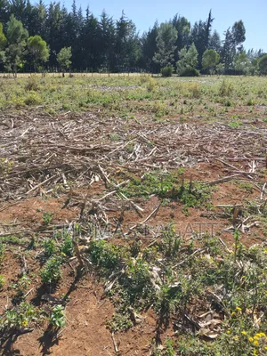 Eldoret Annex Bethel 1⁄4 Acre Plots