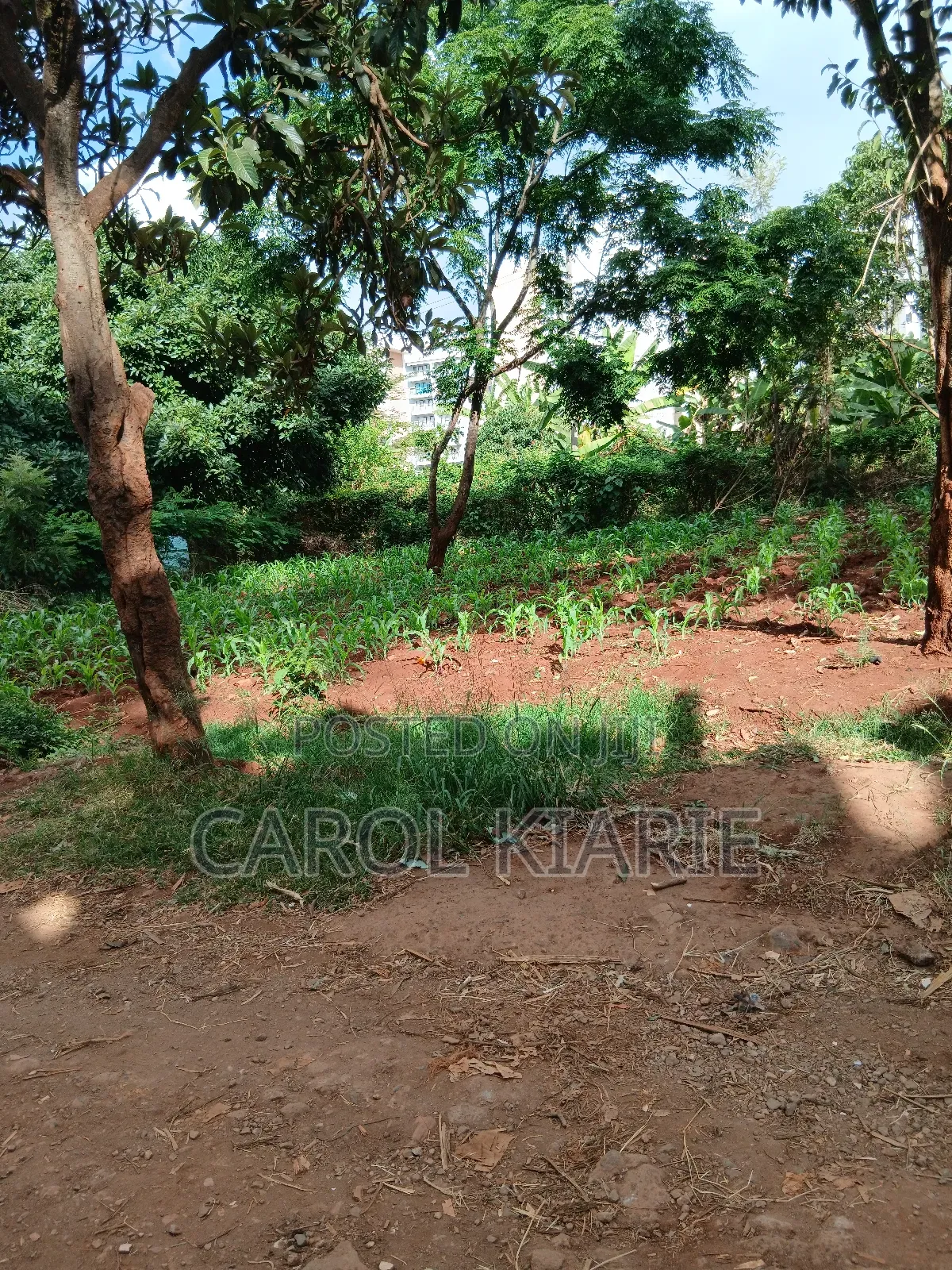 Prime 50*100 Plot at Ruaka Joyland