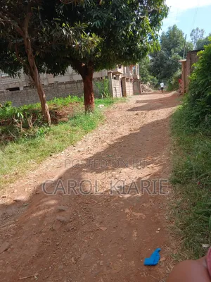 Prime 50*100 Plot at Ruaka Joyland