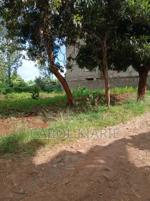 Prime 50*100 Plot at Ruaka Joyland