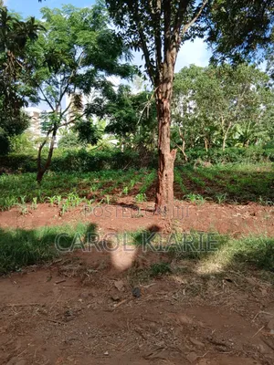 Prime 50*100 Plot at Ruaka Joyland
