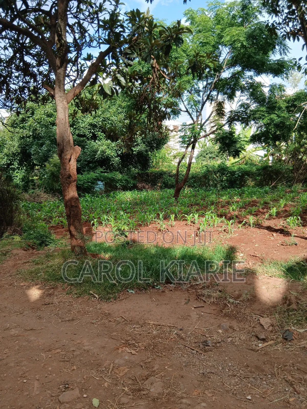 Prime 50*100 Plot at Ruaka Joyland