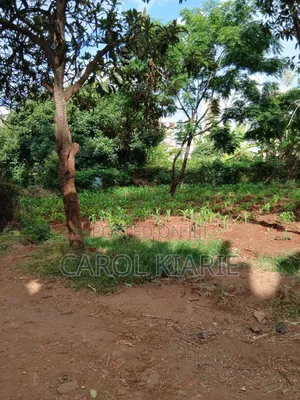 Prime 50*100 Plot at Ruaka Joyland