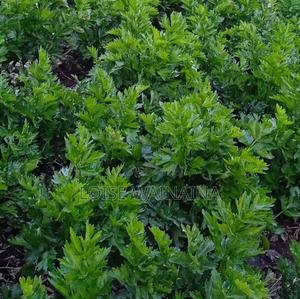 Vegetables - thumbnail 2