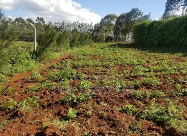 Land for Sale - thumbnail 3