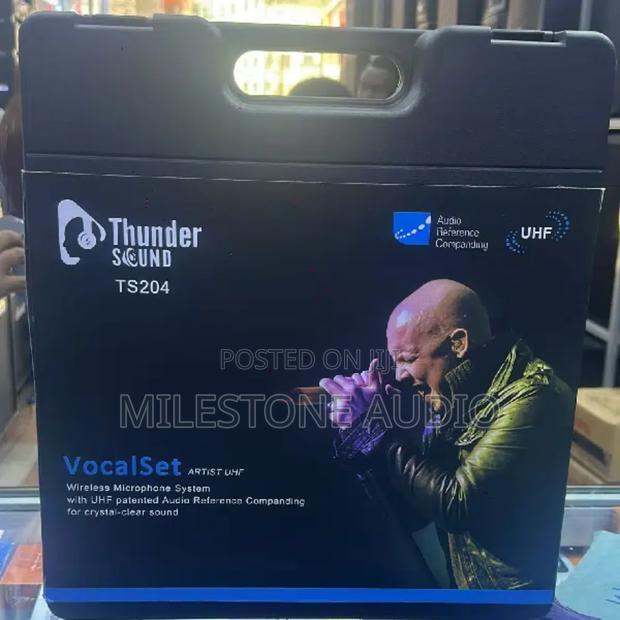 Thunder Sound Ts204 Vocalset Artist Uhf Wireless Microphone