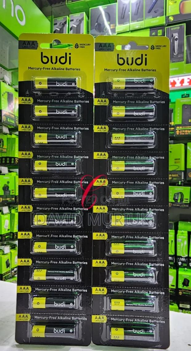 Budi Aa Mercury-Free Alkaline Batteries - main view