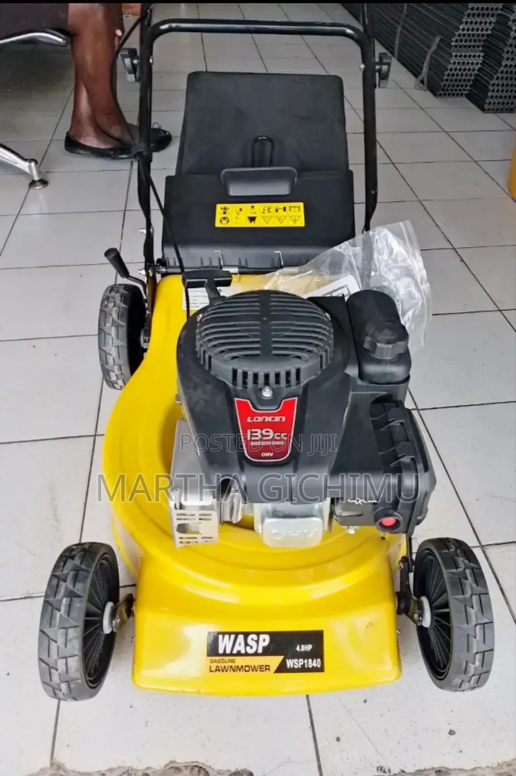 Lawn Mower Wasp