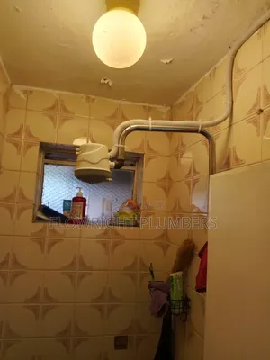 Shower Head Installation And Maintenance