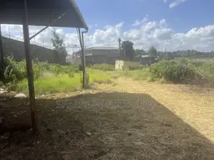 1/4 Acre Riabai With Perimeter Fence