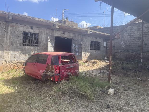 1/4 Acre Riabai With Perimeter Fence - thumbnail 5