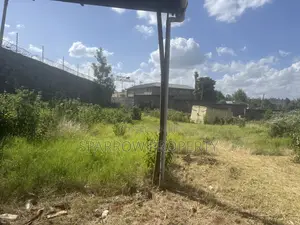 1/4 Acre Riabai With Perimeter Fence