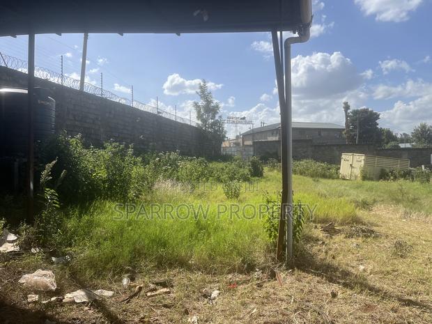 1/4 Acre Riabai With Perimeter Fence - thumbnail 8