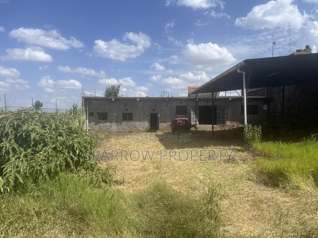 1/4 Acre Riabai With Perimeter Fence - thumbnail 11