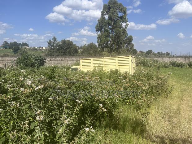 1/4 Acre Riabai With Perimeter Fence - thumbnail 16