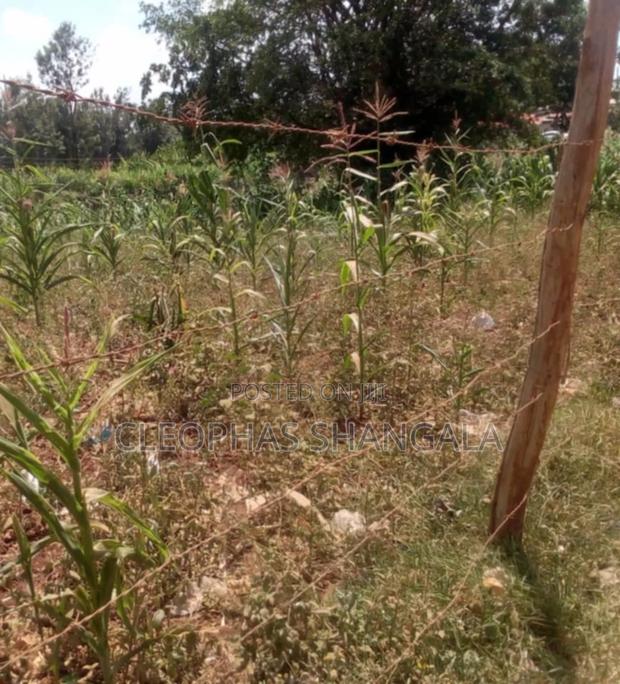 1 Acre Land for Sale - main view