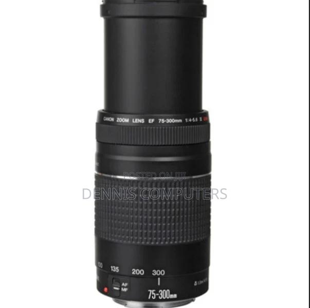 Canon Ef 75-300mm F/4-5.6 Iii Usm Len